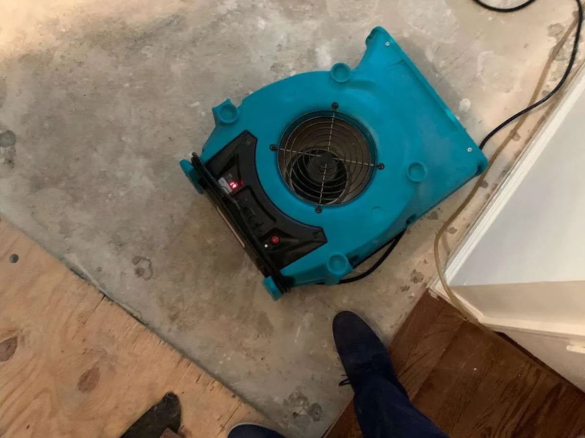 Air mover drying subfloor during Leak Detection & Repair in Milford
